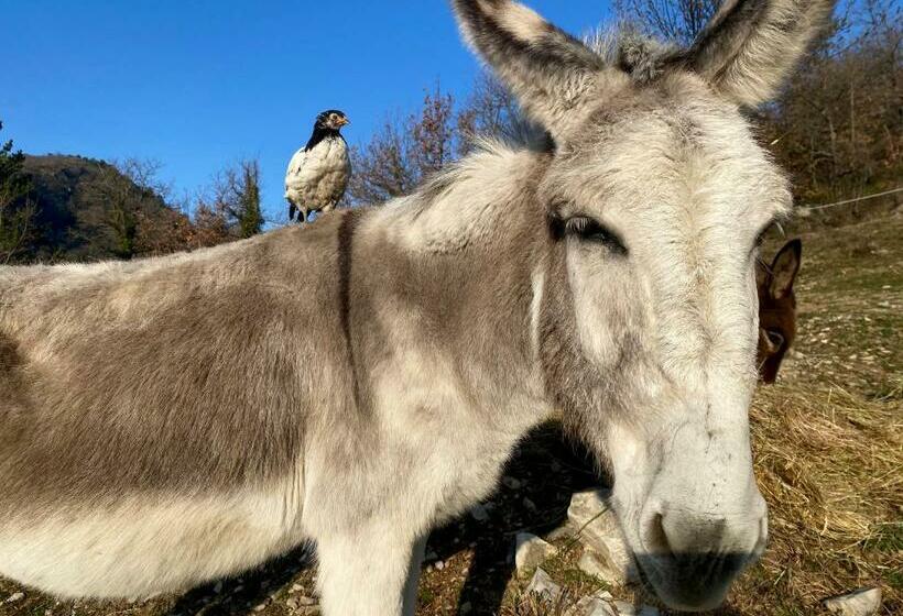 膳宿费 La Ferme Rolland
