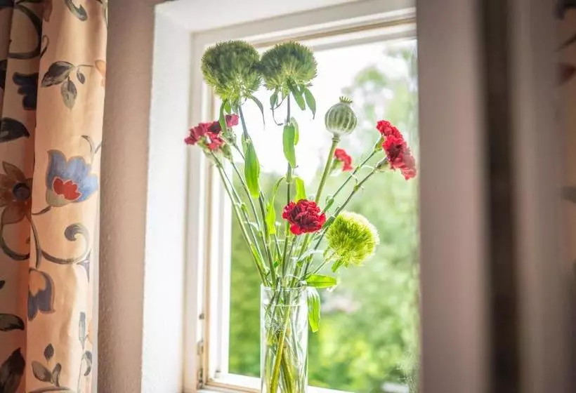 ユースホステル Gasthof Alte Schmiede G Luckendorf