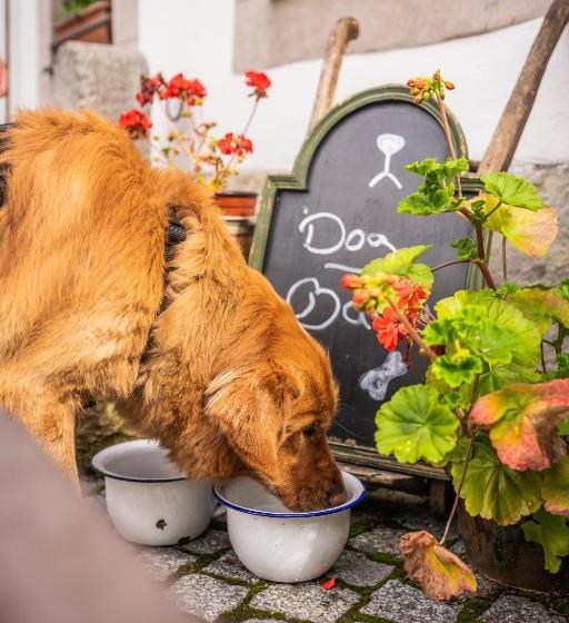 Общежитие Gasthof Alte Schmiede G Luckendorf