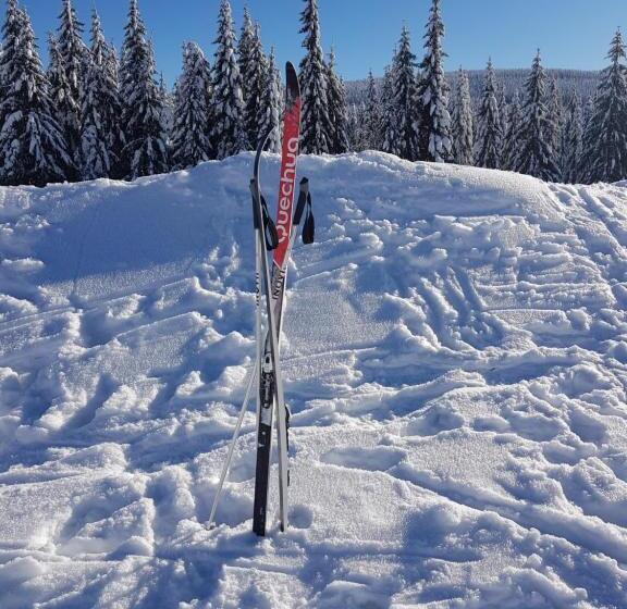 Общежитие Gasthof Alte Schmiede G Luckendorf