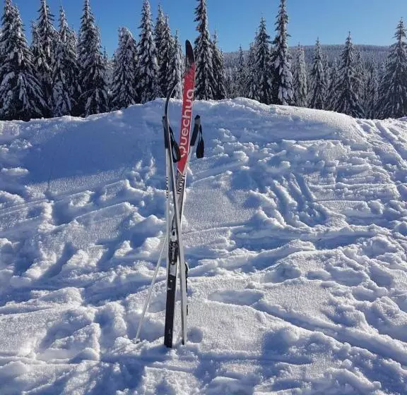 ユースホステル Gasthof Alte Schmiede G Luckendorf