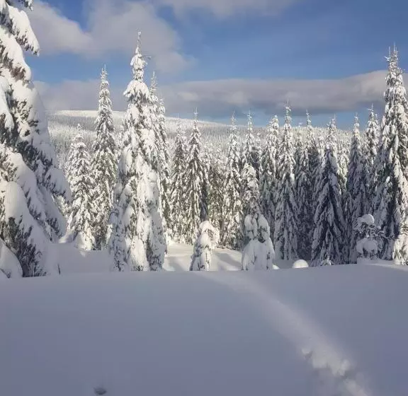 ユースホステル Gasthof Alte Schmiede G Luckendorf