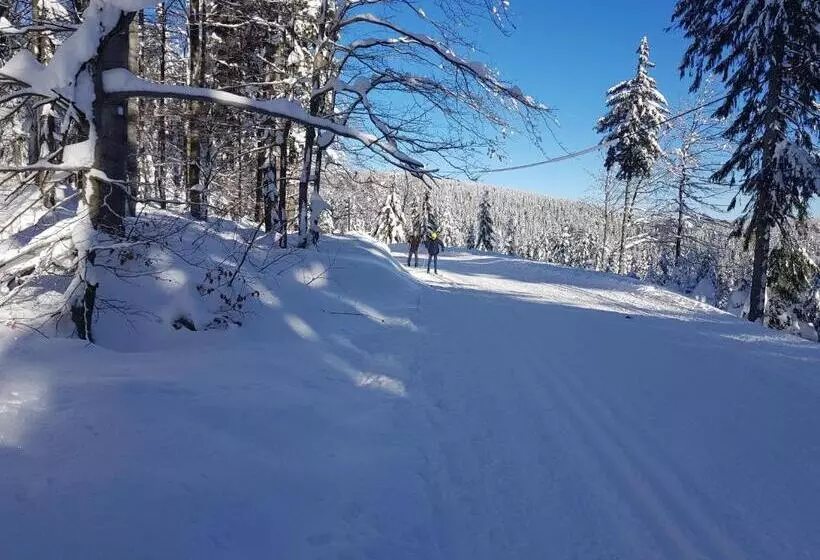 ユースホステル Gasthof Alte Schmiede G Luckendorf