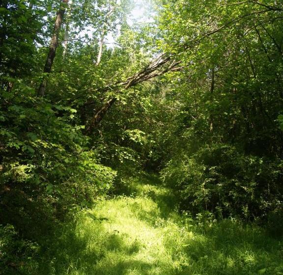 צימר La Féculerie