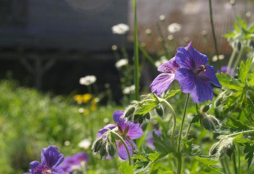 צימר La Féculerie