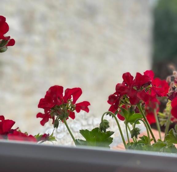 مبيت وإفطار Le Vieux Moulin