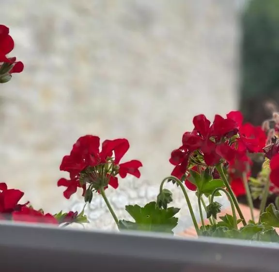 Aamiaismajoitus (B&B) Le Vieux Moulin