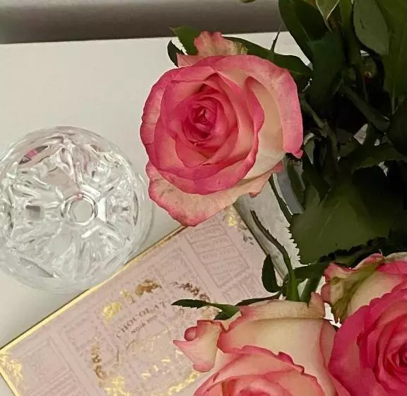 Aamiaismajoitus (B&B) Le Vieux Moulin