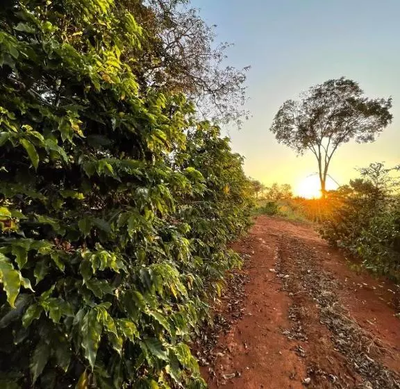 Ecaffe Hotel Pousada Container   Coqueiral Mg