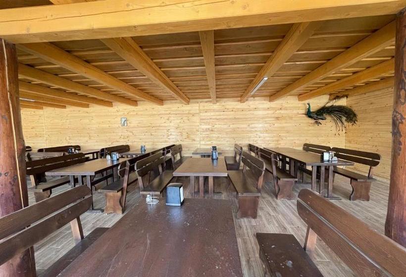 Hotell золотий павлін