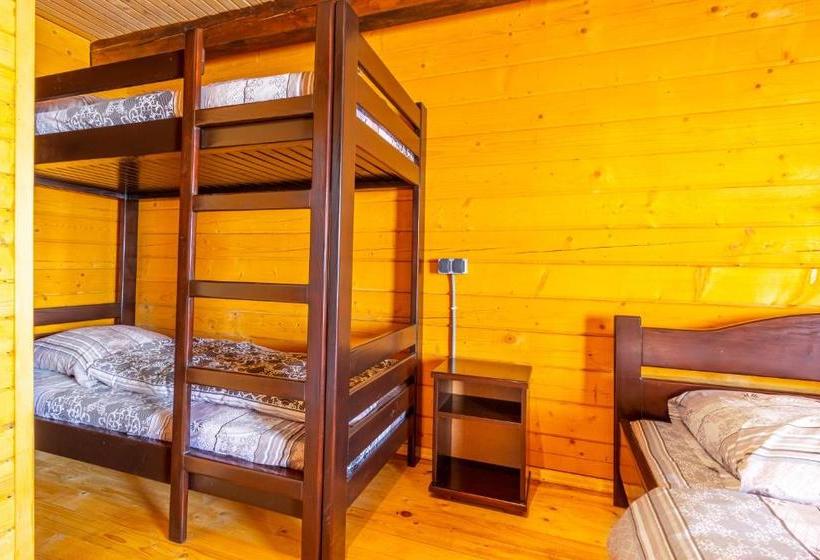 Hotell золотий павлін