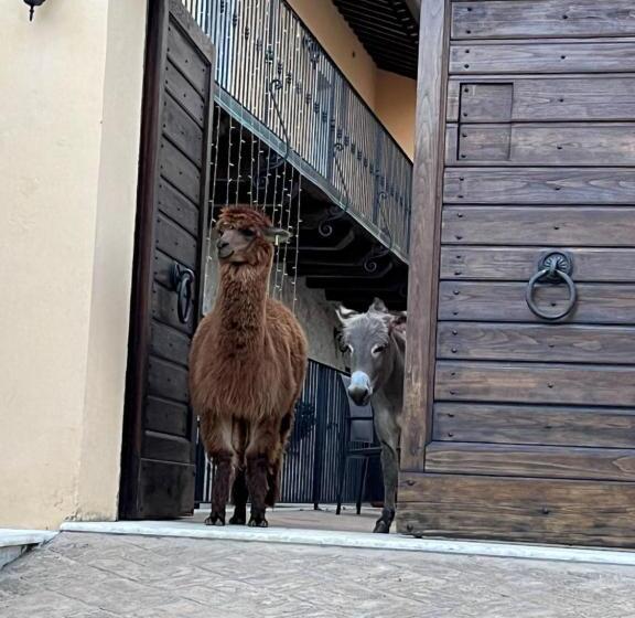 ホテル Borgo Incantato Spoleto