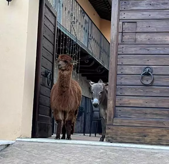 ホテル Borgo Incantato Spoleto