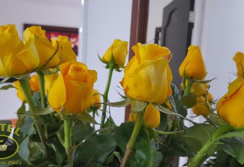 ホテル Centenario Plaza