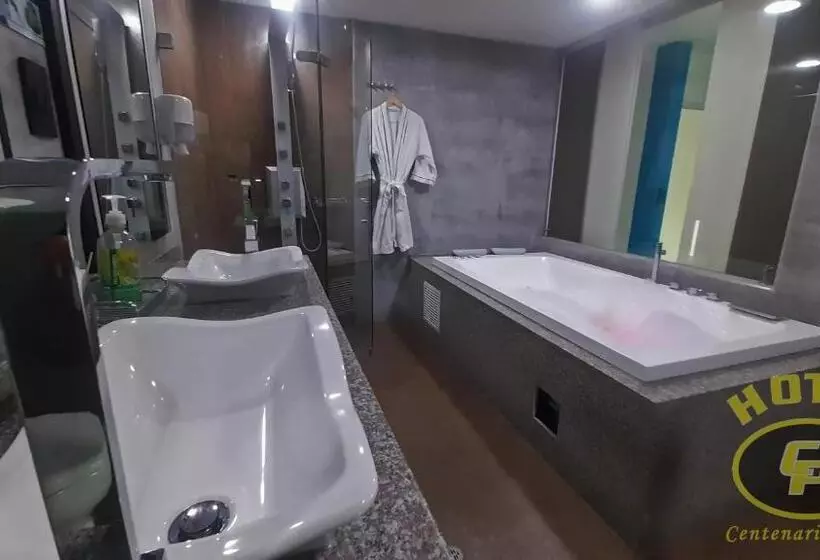 ホテル Centenario Plaza