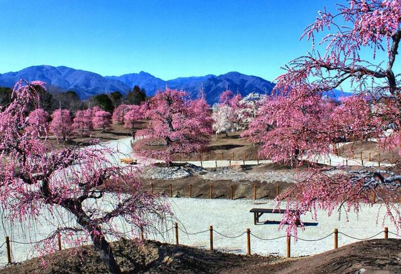 Отель Trend Suzuka