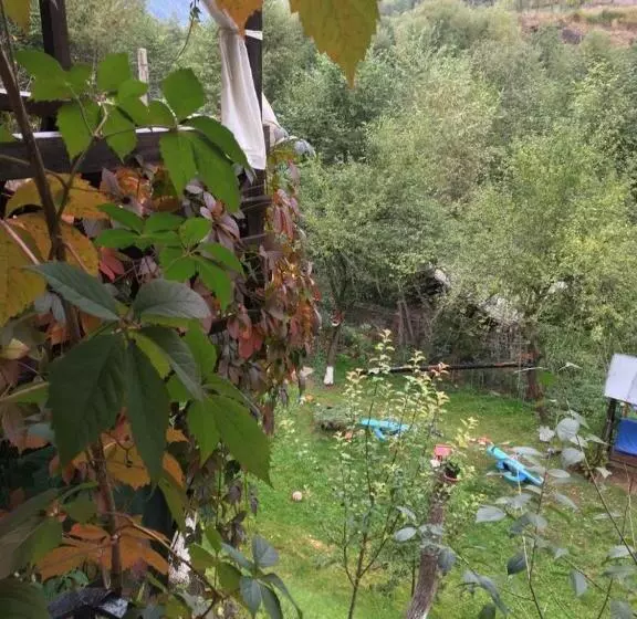 ペンション Casa Elena