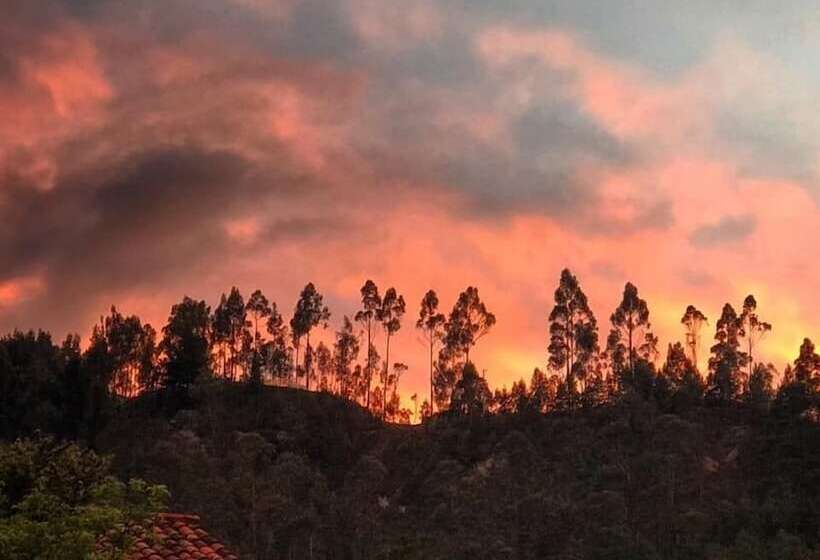 Gaia Sagrada Ayahuasca Retreat Center Hostel