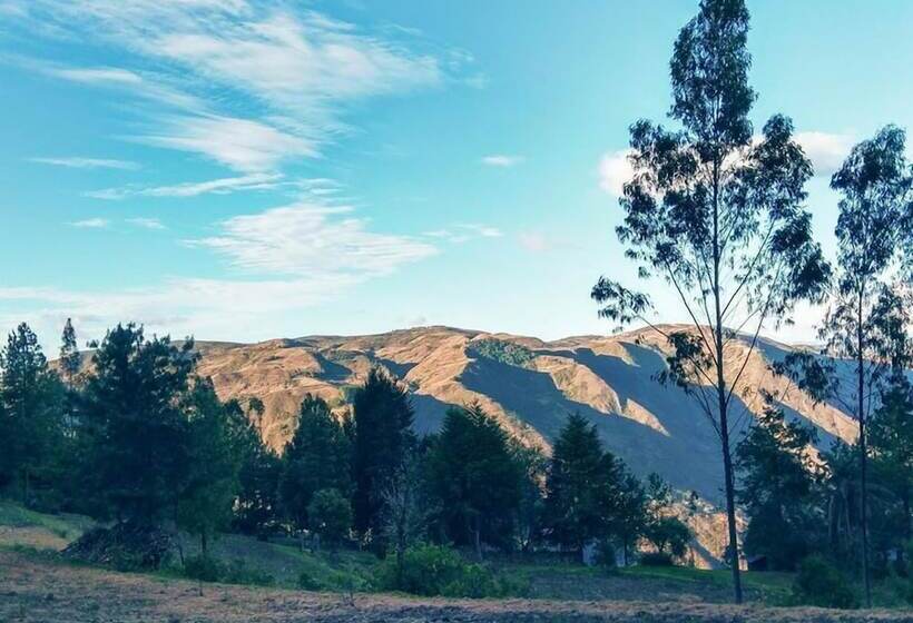 Gaia Sagrada Ayahuasca Retreat Center Hostel