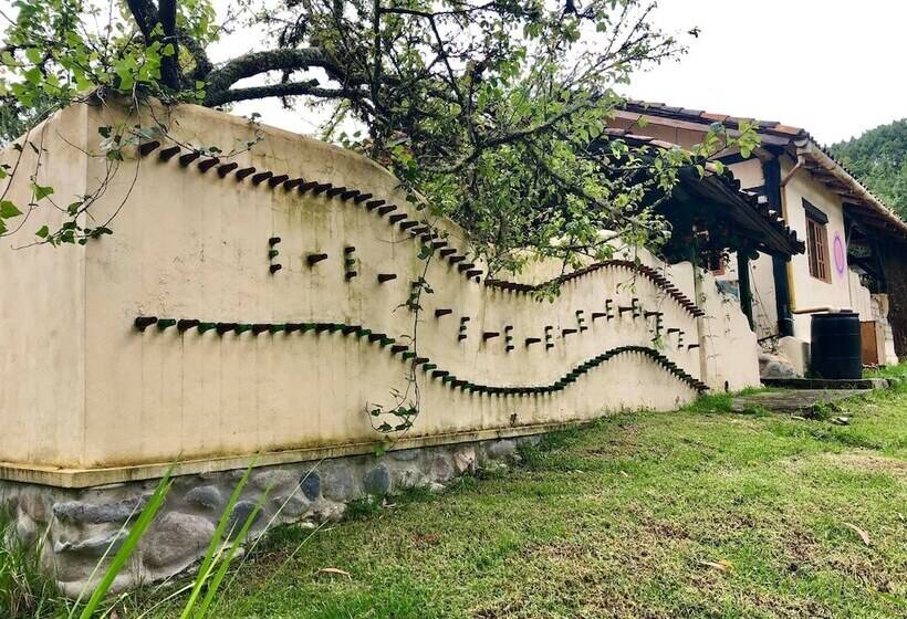 Gaia Sagrada Ayahuasca Retreat Center Hostel