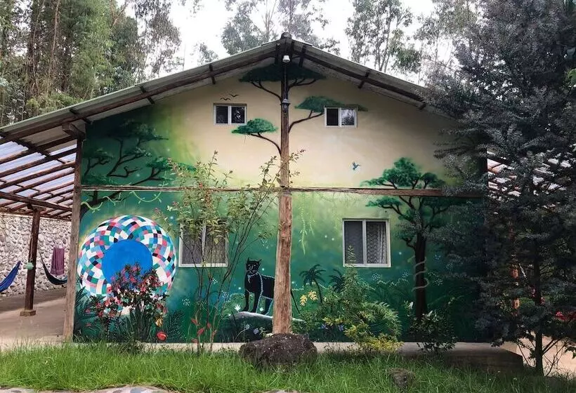 Gaia Sagrada Ayahuasca Retreat Center   Hostel