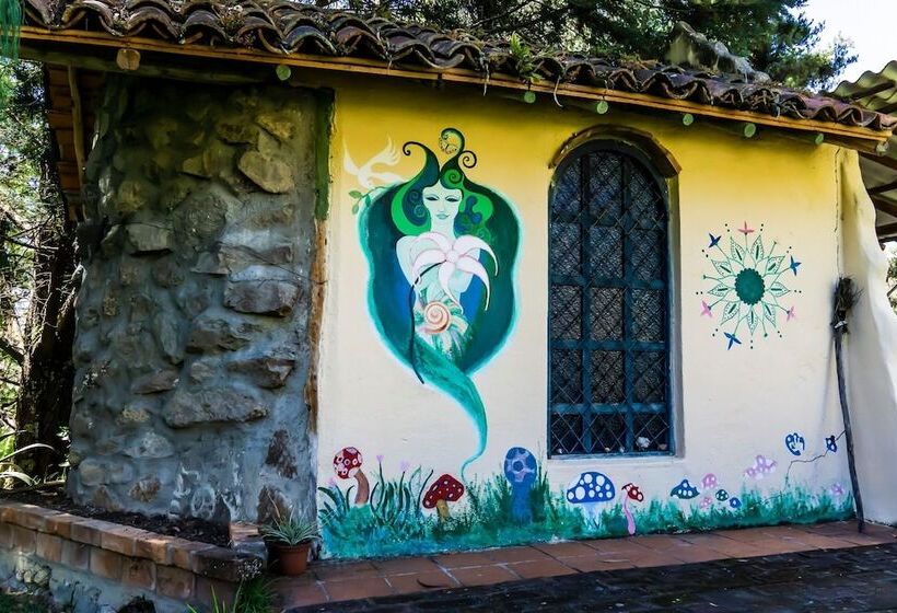 Gaia Sagrada Ayahuasca Retreat Center Hostel