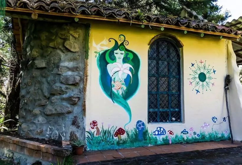 Gaia Sagrada Ayahuasca Retreat Center   Hostel