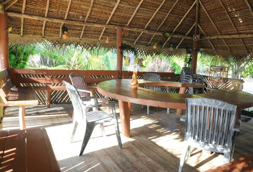 Отель Dolphin Village