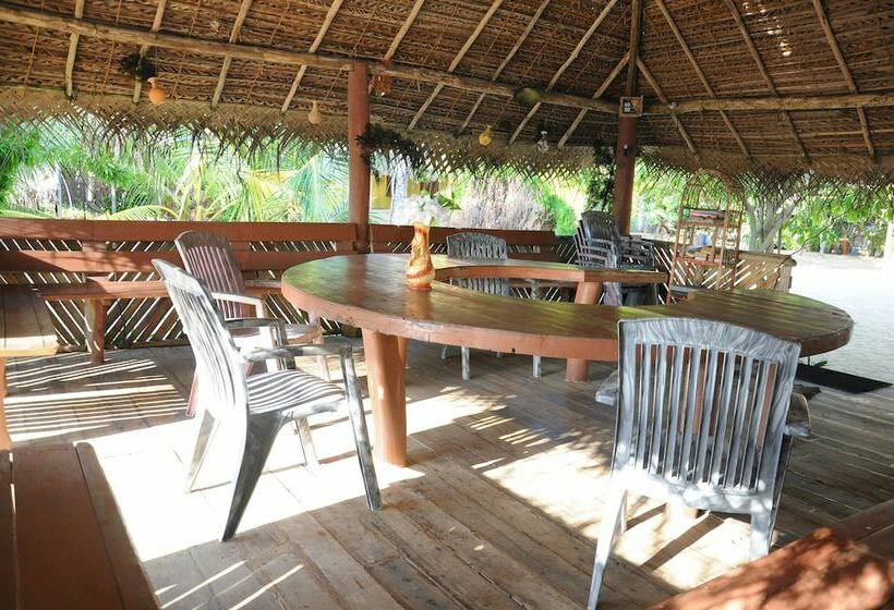 Отель Dolphin Village