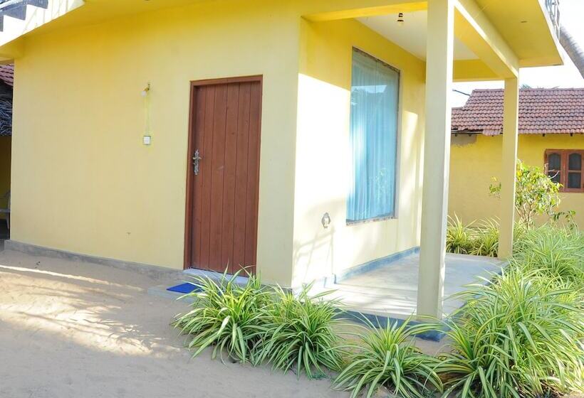 Отель Dolphin Village