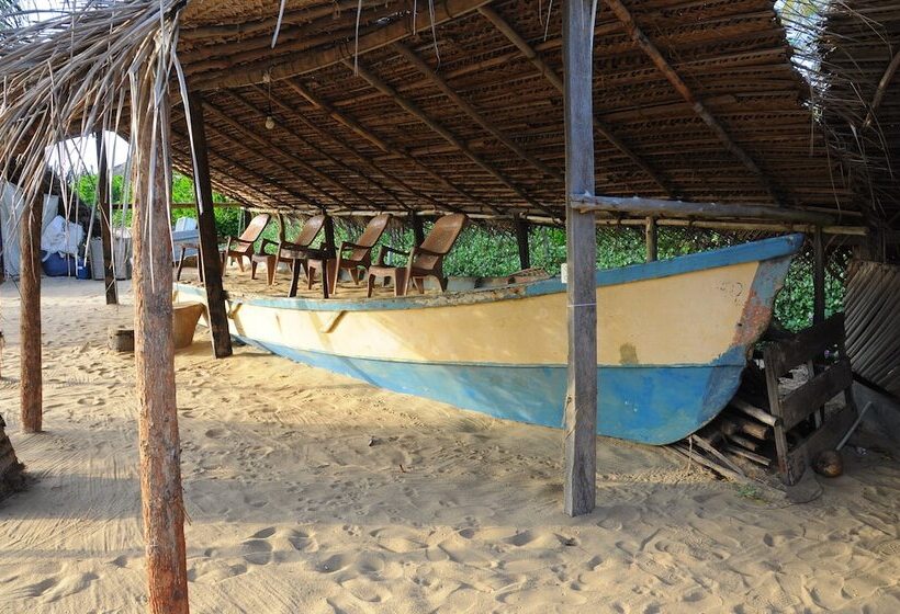 Отель Dolphin Village