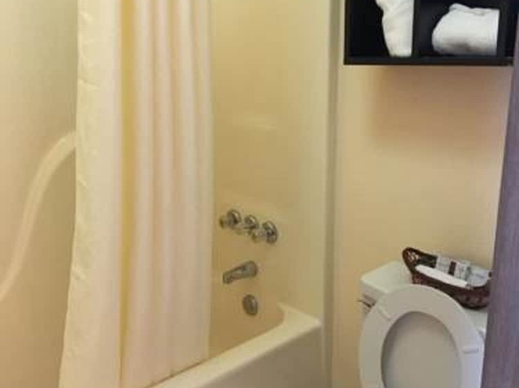 هتل Ozark Springs Lodge