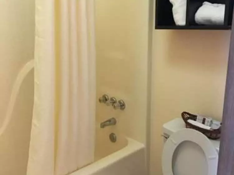 ホテル Ozark Springs Lodge