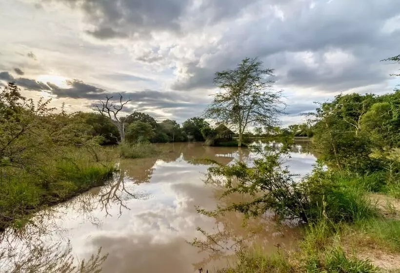 ホテル Phelwana Game Lodge