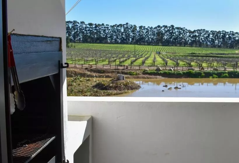 ペンション Middelplaas Paarl Guesthouse