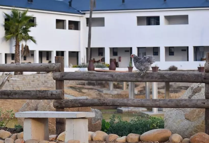 ペンション Middelplaas Paarl Guesthouse