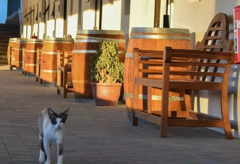 ペンション Middelplaas Paarl Guesthouse