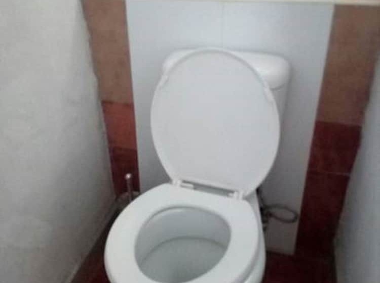 پانسیون Park Lodge