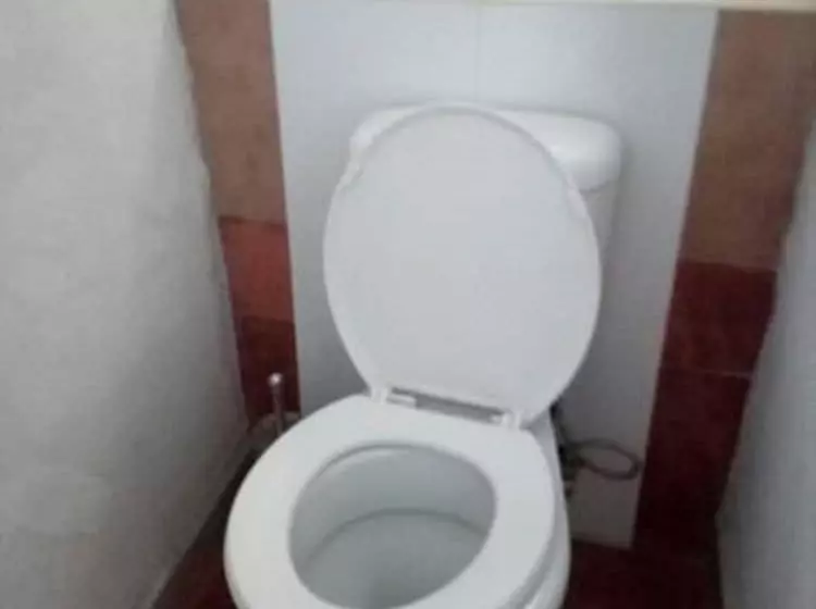 پانسیون Park Lodge