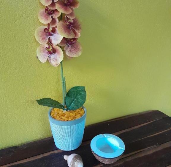 هاستل Pousada Lotus