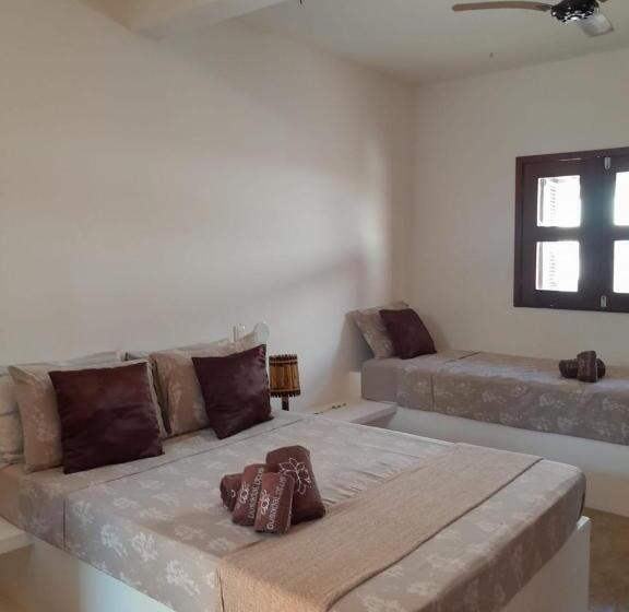 هاستل Pousada Lotus