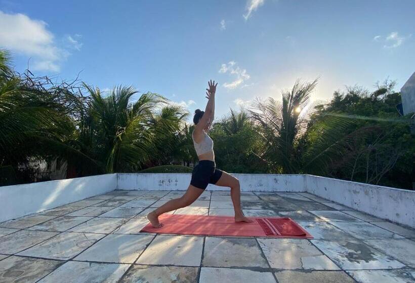 هاستل Pousada Lotus