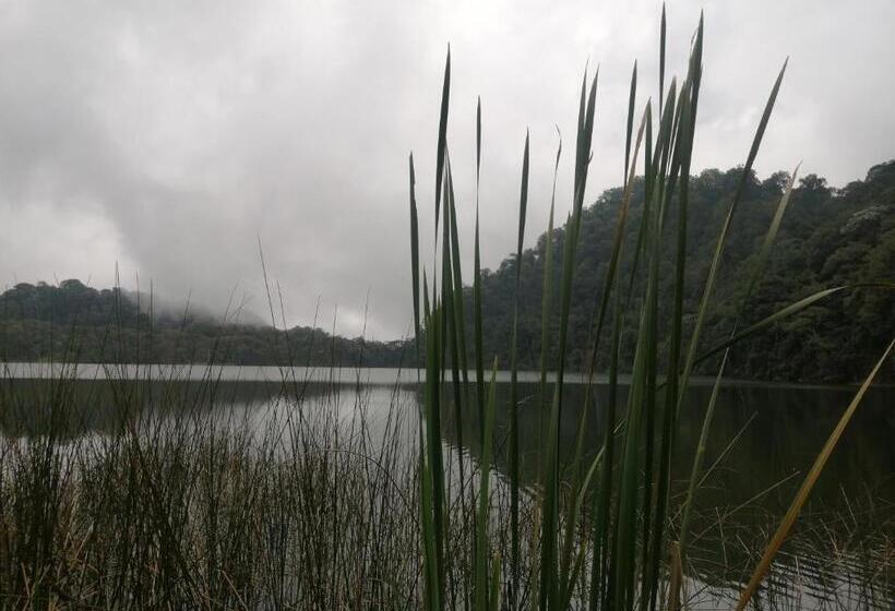 펜션 Nuestro Bosque I