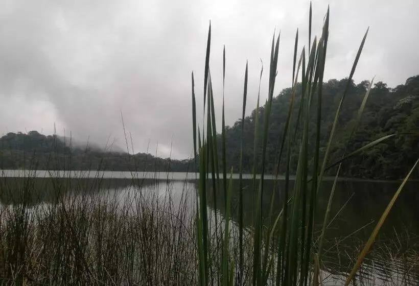 ペンション Nuestro Bosque I