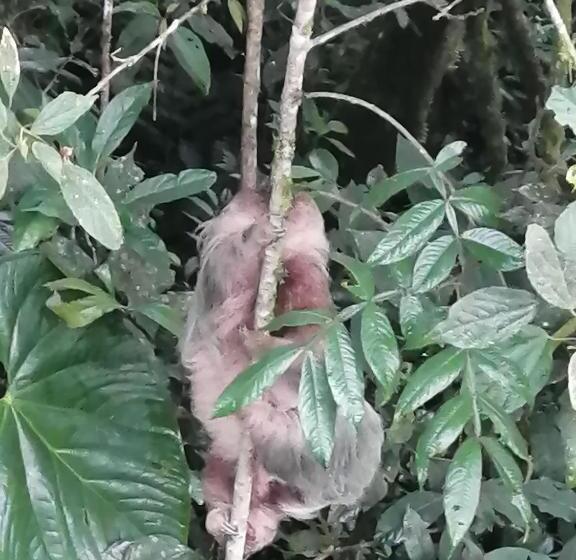 펜션 Nuestro Bosque I