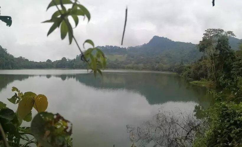 ペンション Nuestro Bosque I