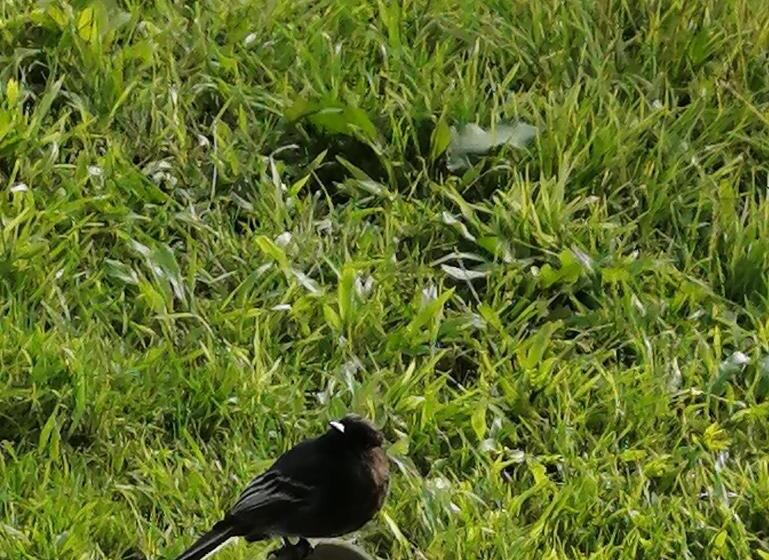 펜션 Nuestro Bosque I