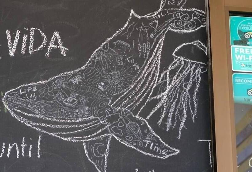 Nahualli Hostel Tamarindo