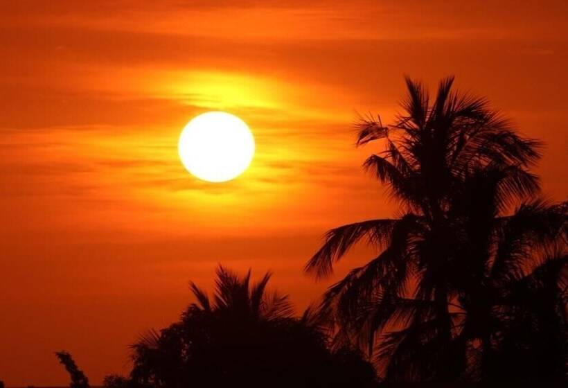 Nahualli Hostel Tamarindo