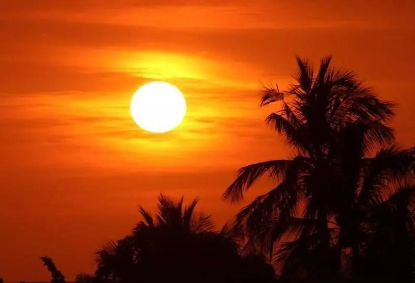 Nahualli Hostel Tamarindo